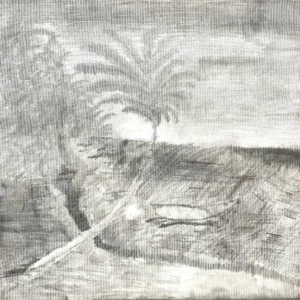 Honolulu Dream