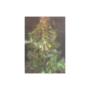 7" X 5 "  POST Card Qt 5