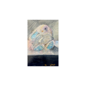 6" X 4  "  POST Card Qt 25