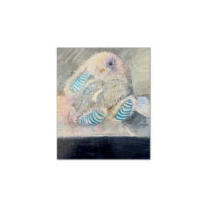 Gloss Prints 5 " X 6"