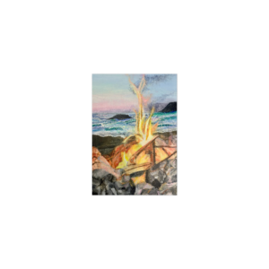 Post Card- 5" X 3.5"  quantity 5