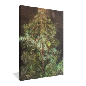 GLOSS Canvas Prints Stretch mount 3/4 " 10" X 14"