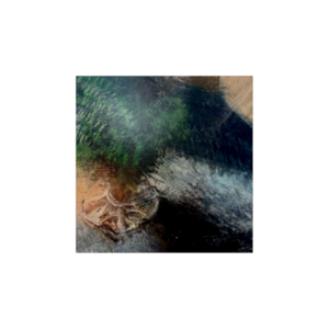 Gloss Prints 6 X 6"