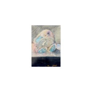 5" X 3.5 "  POST Card Qt 25