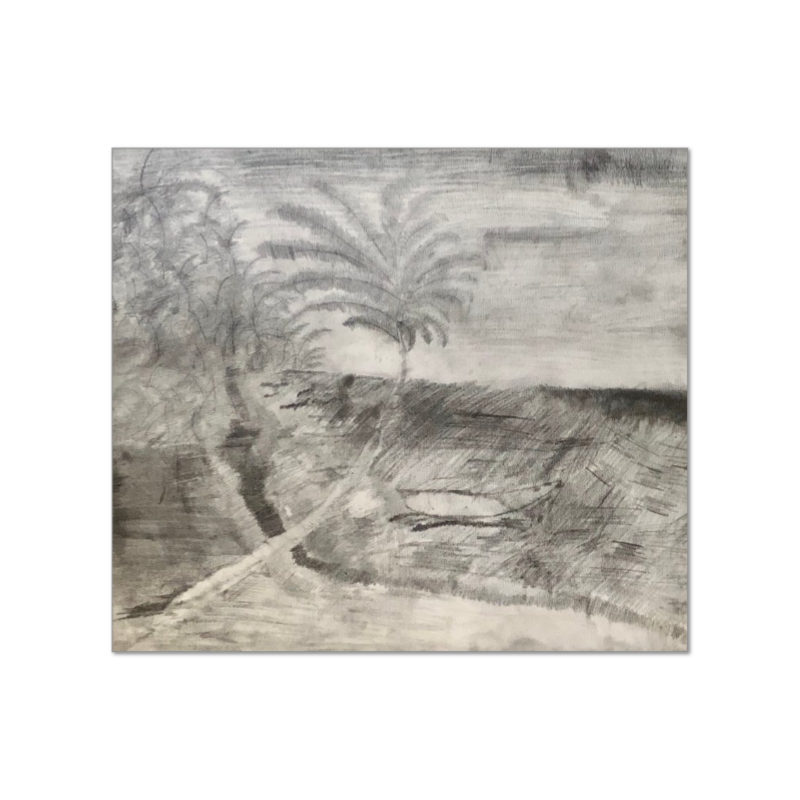 Honolulu Dream PRINTS