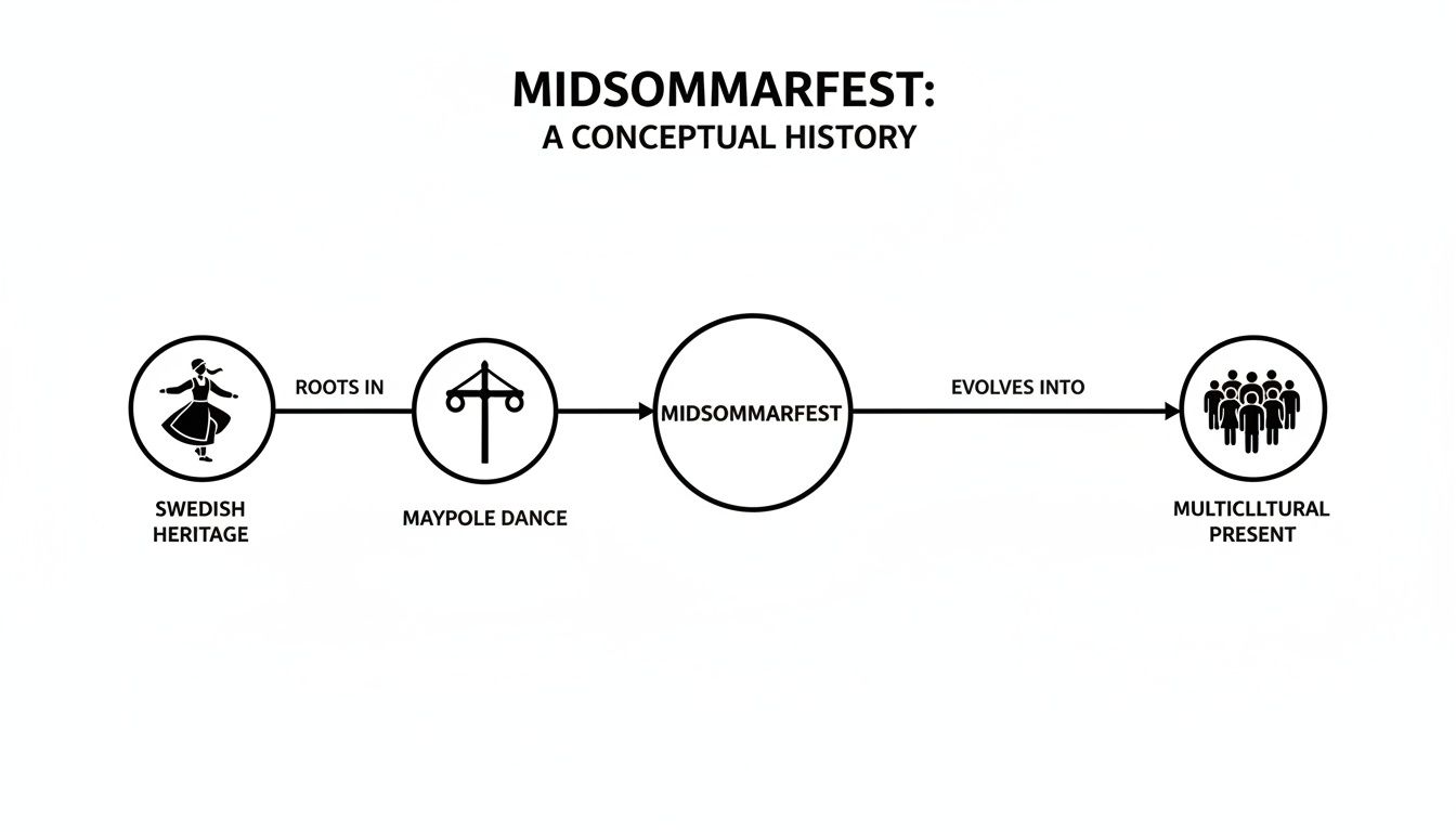 Diagram illustrating Midsummerfest's history, from Swedish roots and maypole dance to its multicultural present.